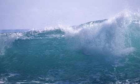 ВСЕМИРНЫЙ ДЕНЬ ВОДЫ