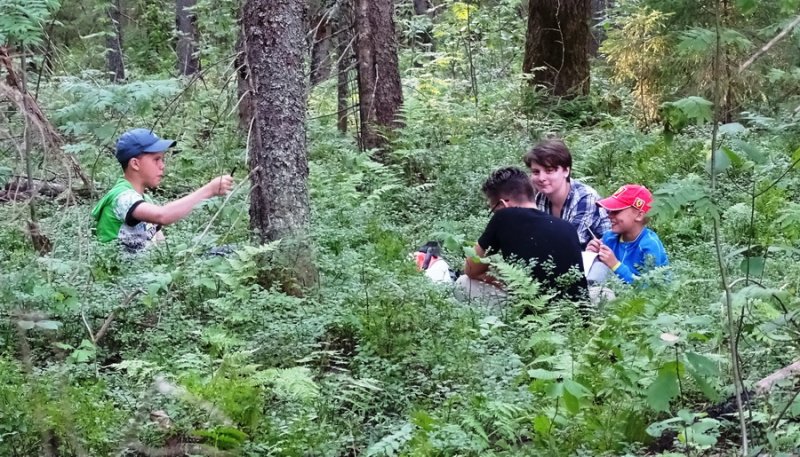 Юннаты делают ботаническое в таежном лесу