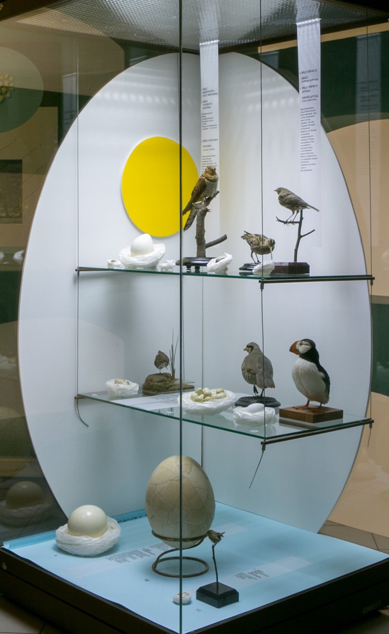 Птицы. Технология совершенства. Экспозиция выставки.