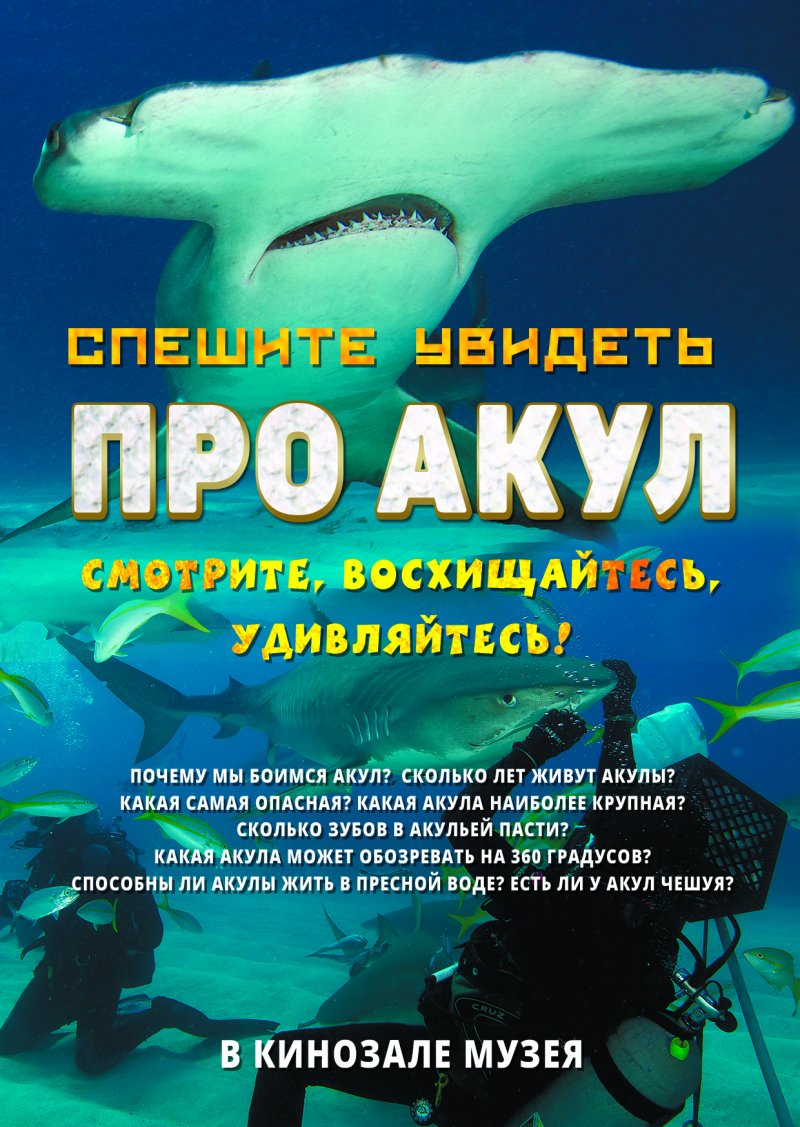 Фильм «Про акул»