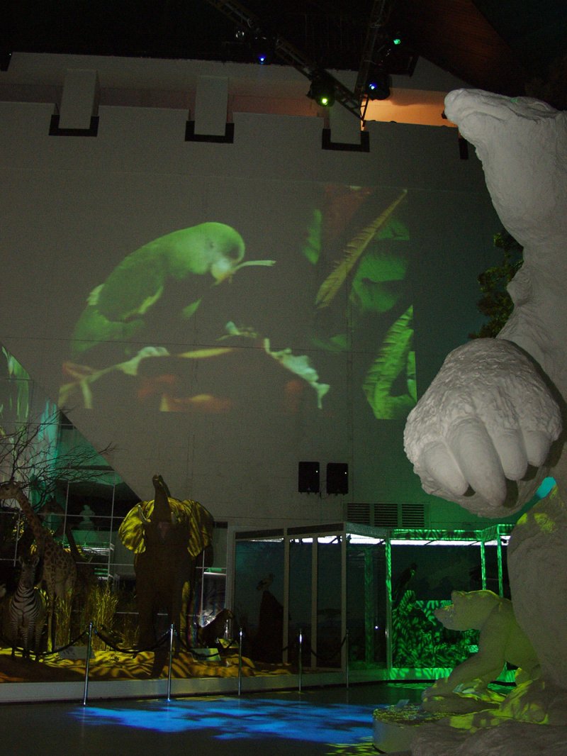 Свето-видео-музыкальная экспозиции «Живая планета». 2002