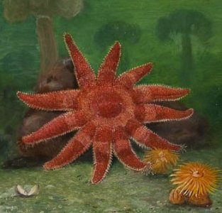 Сокровища морских глубин