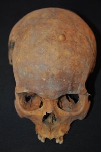 «Жизнь» после смерти, или Если ваши кости нашли антропологи
