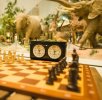 Детский шахматный турнир «Кубок Дарвина»