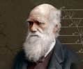 Дарвиновский музей отпраздновал "День эволюции" и юбилей Ч.Дарвина