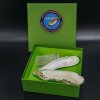 Дар к 110-летию музея - раковина глубоководного двустворчатого моллюска 'Ectenagena’ extenta