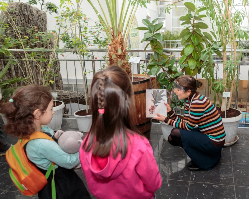 Растения-2 ДА