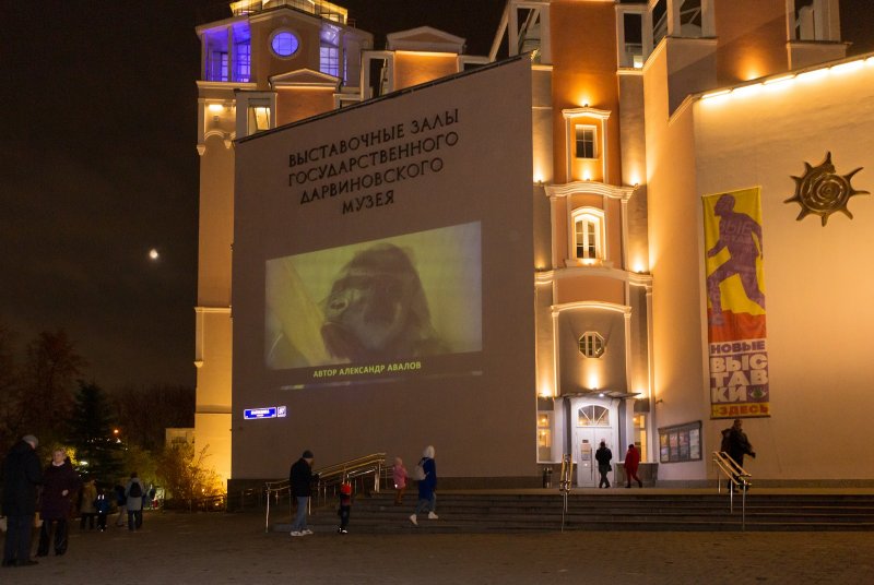 Ночь искусств