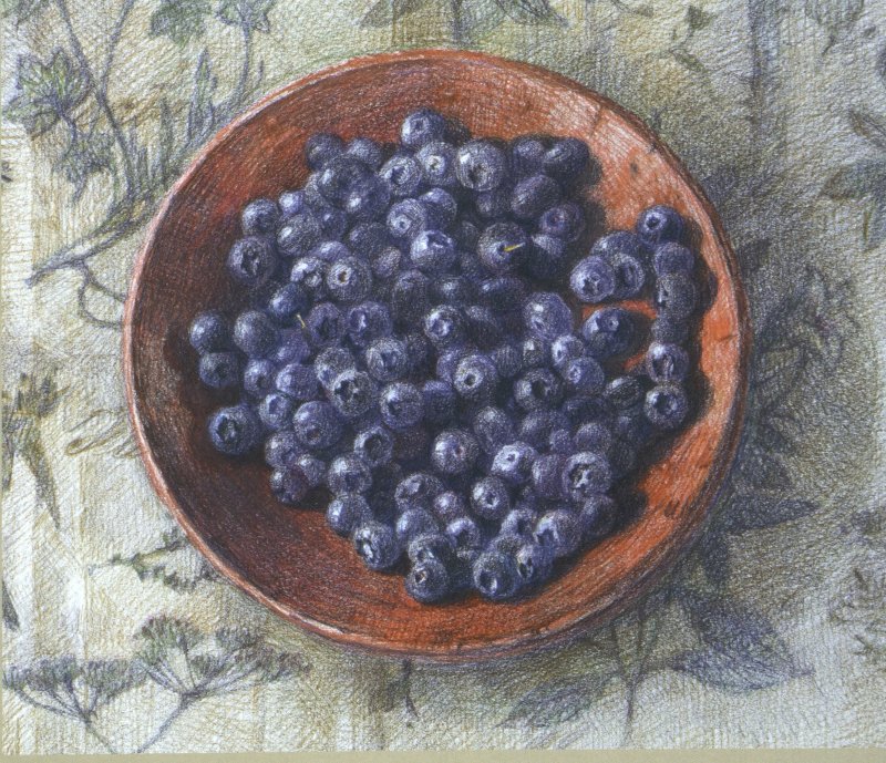 Сонеты в цвете