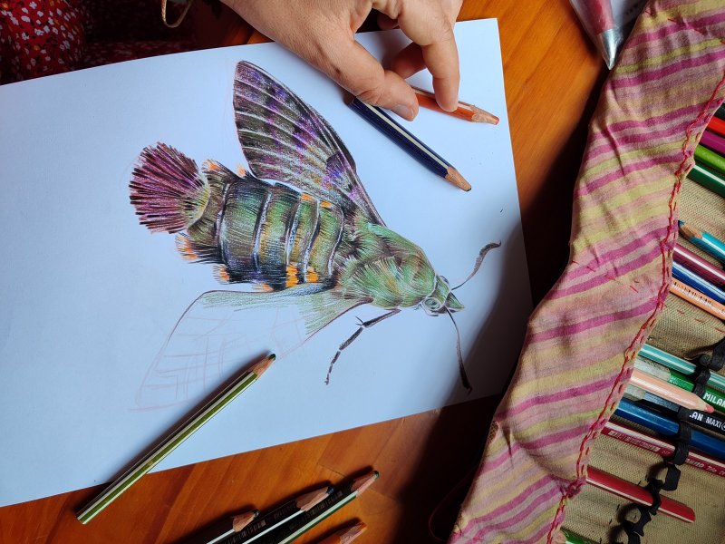 ЯРЧЕ НЕ БЫВАЕТ! 