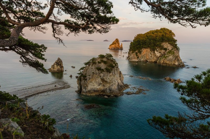 Морские жители Земли леопарда