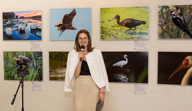 Сто лет сохраняя будущее