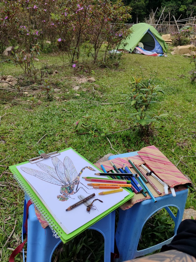 ЯРЧЕ НЕ БЫВАЕТ!