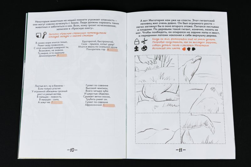 Пингвин Дада выясняет: крылья, лапы и хвосты — у кого они? 