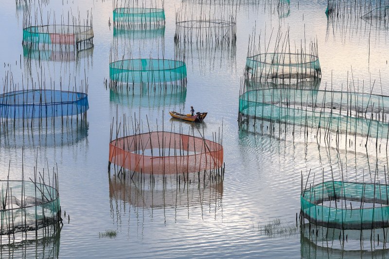 Надежда Николаева. Москва. Сеть за сетью