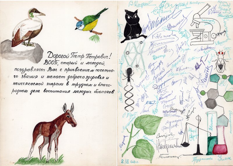 Поздравительный адрес П.П. Смолину по случаю присвоения ему почетного звания Заслуженный работник культуры РСФСР от кружковцев ВООП разных поколений с автографом В.Ю. Решетова. 1968 (из фондов ГДМ)