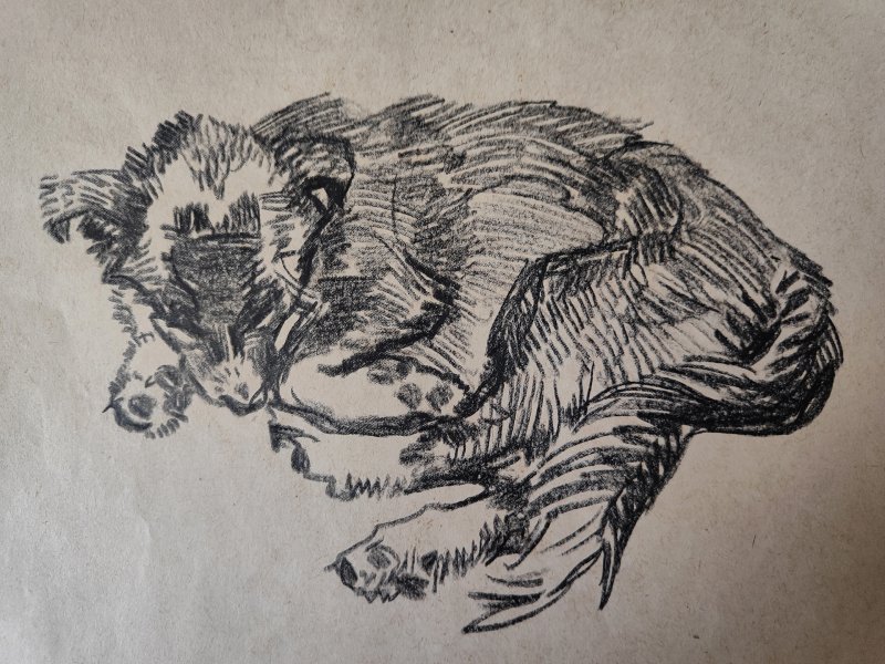 Торжественное открытие выставки От Москвы до Камчатки