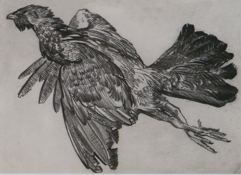 От Москвы до Камчатки