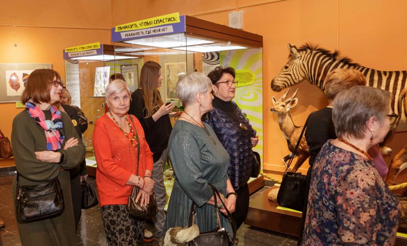 На выставке «Искусство обмана»