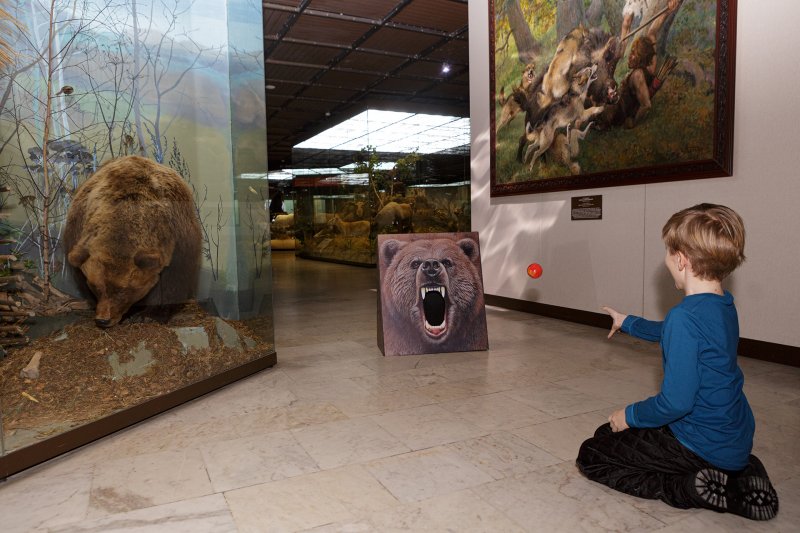 Квест Медвежий праздник