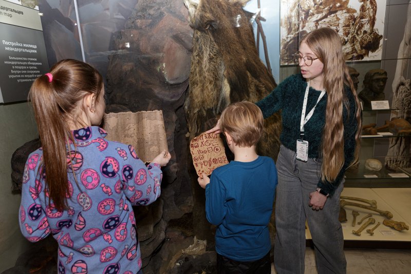 Квест Медвежий праздник