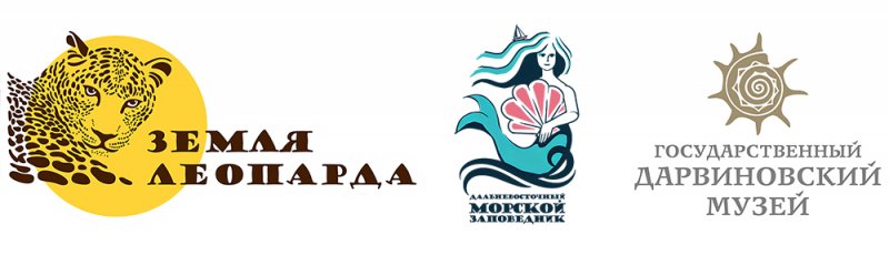 Морские жители Земли леопарда