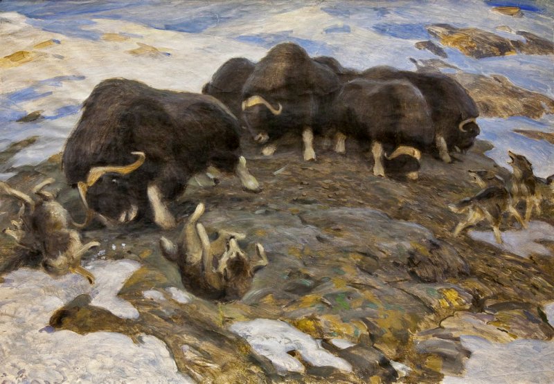 Ватагин В.А. Овцебыки, 1920