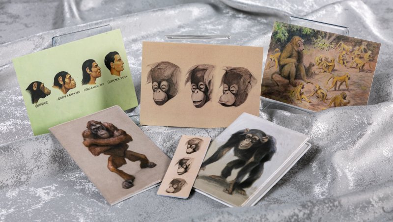 Для наших любимых мужчин