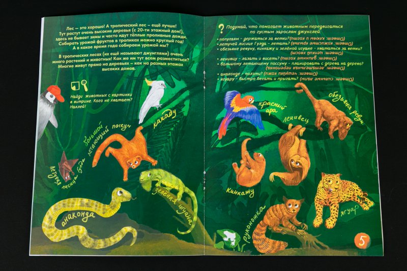 Пингвин Дада выясняет: крылья, лапы и хвосты — у кого они?