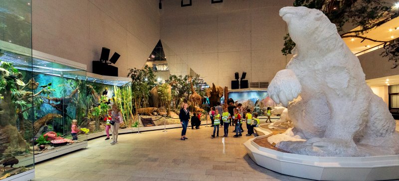 State Darwin museum