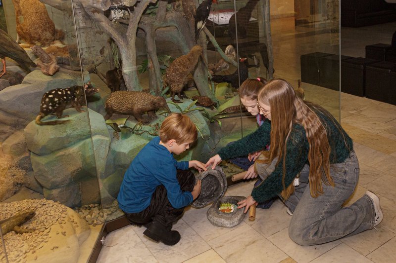 Квест Медвежий праздник