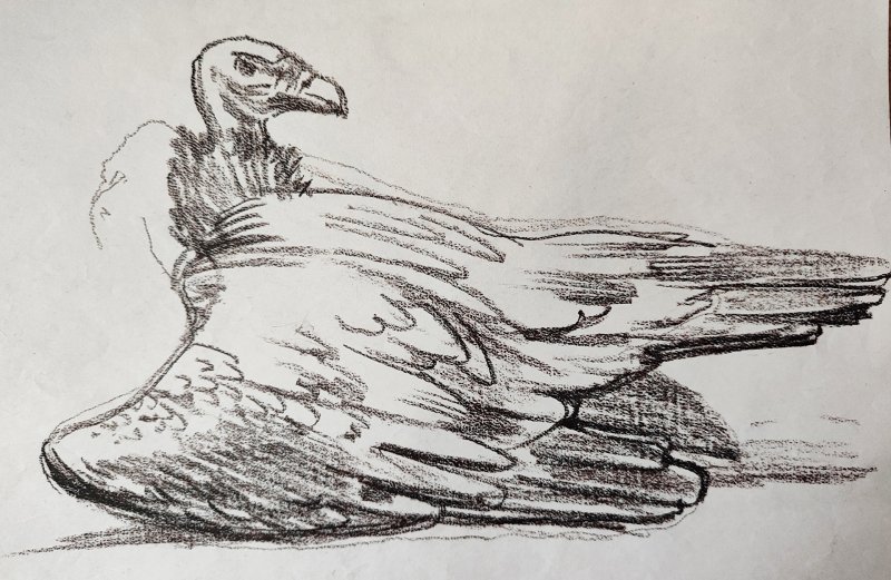 Торжественное открытие выставки От Москвы до Камчатки