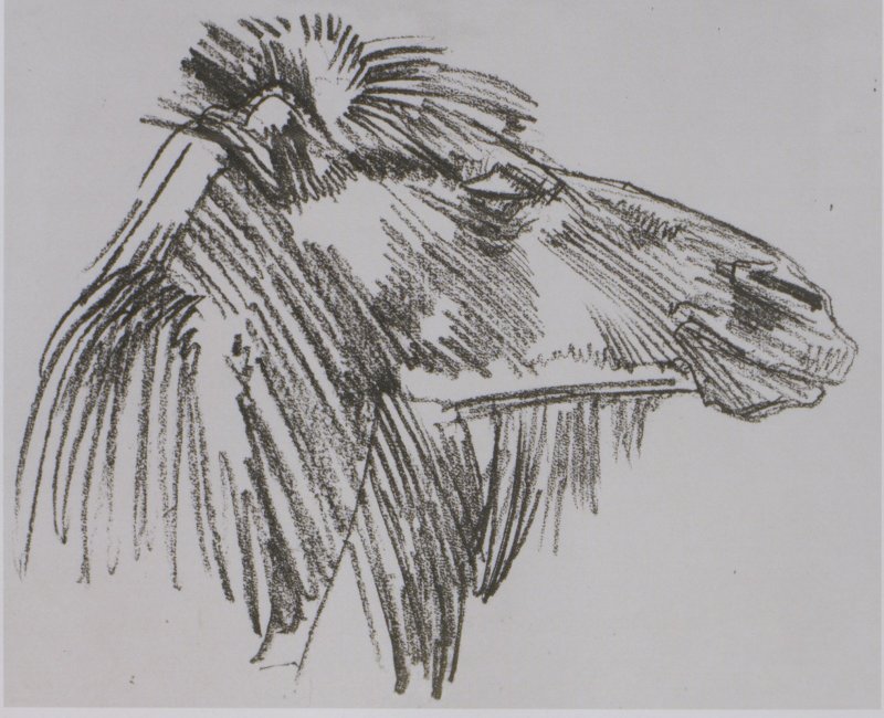 От Москвы до Камчатки