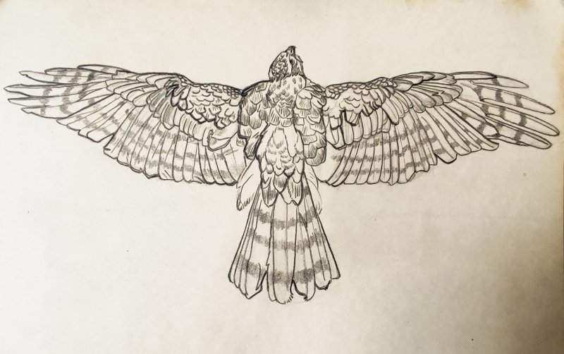 Торжественное открытие выставки От Москвы до Камчатки