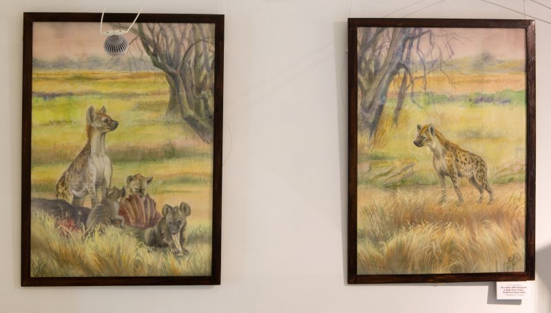 К 80-летию художницы Елены Алексеевны Ельской