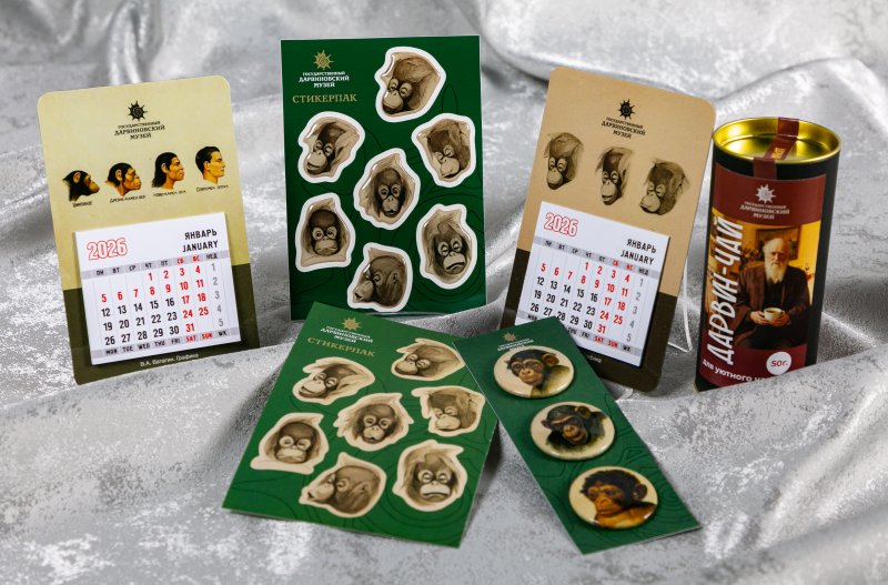 Для наших любимых мужчин