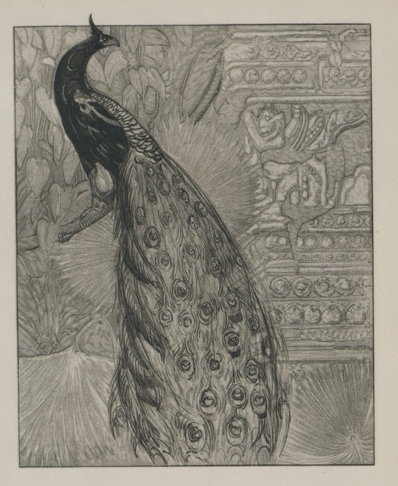 Поль Жув. Художник джунглей