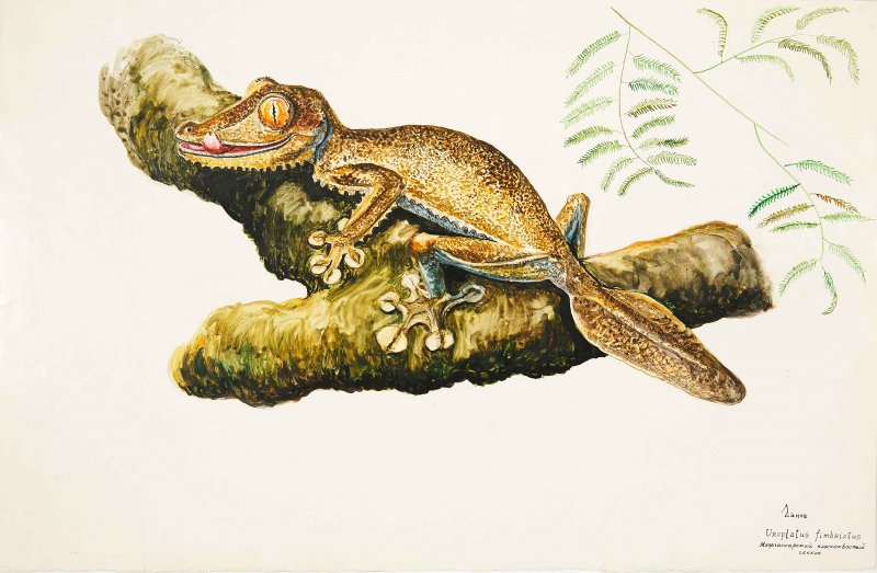 Искусство обмана