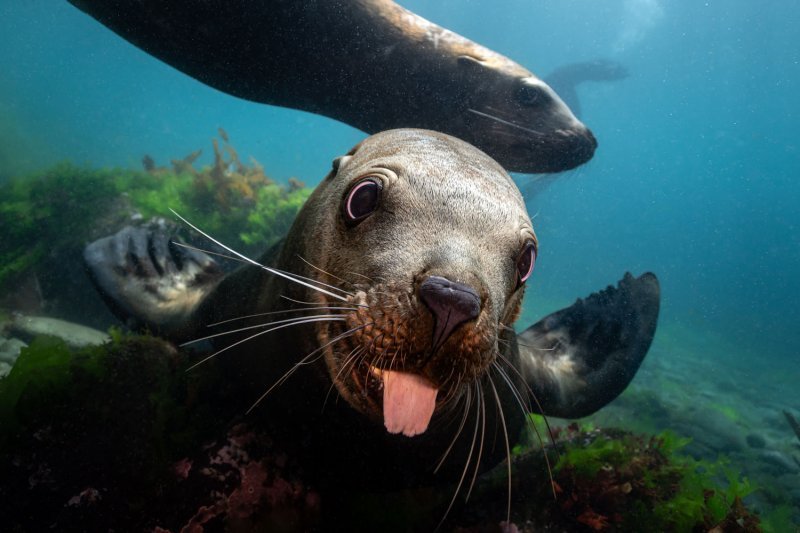 underwater_2