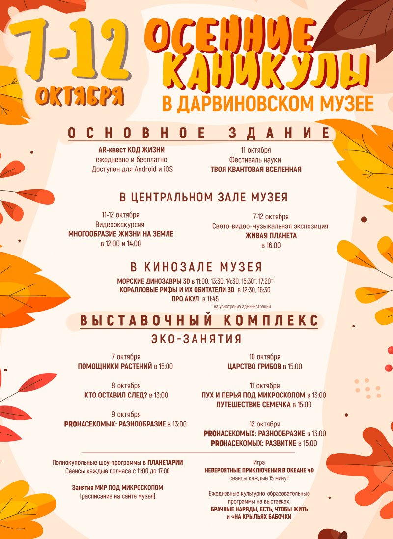 ОСЕННИЕ КАНИКУЛЫ 2025