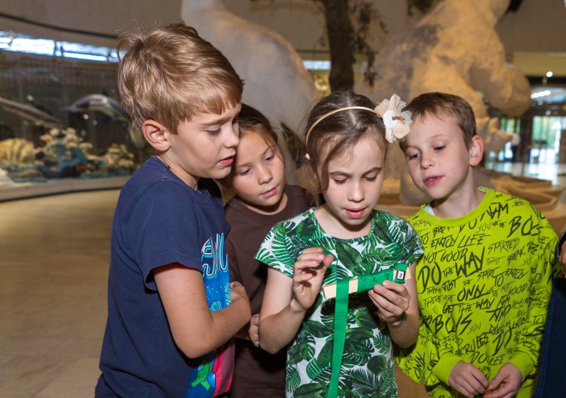 На поиски Слономуха КВЕСТ С ВЕДУЩИМ для детей 8-11 лет