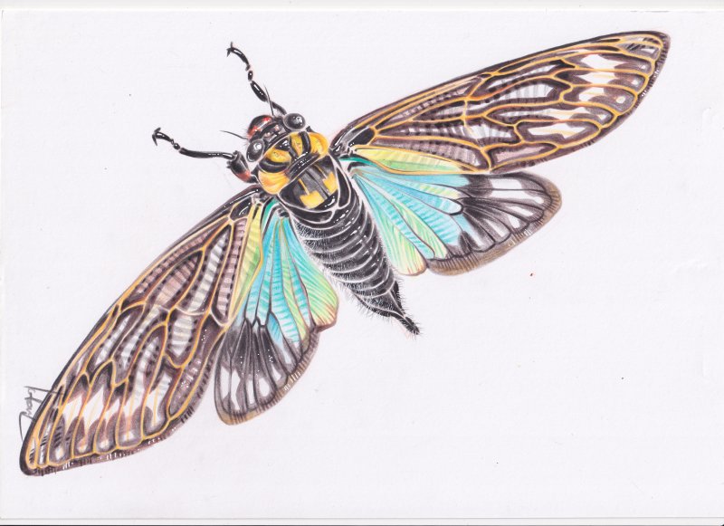 ЯРЧЕ НЕ БЫВАЕТ! 