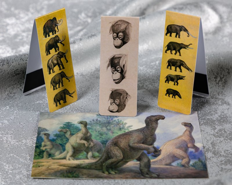 Для наших любимых мужчин