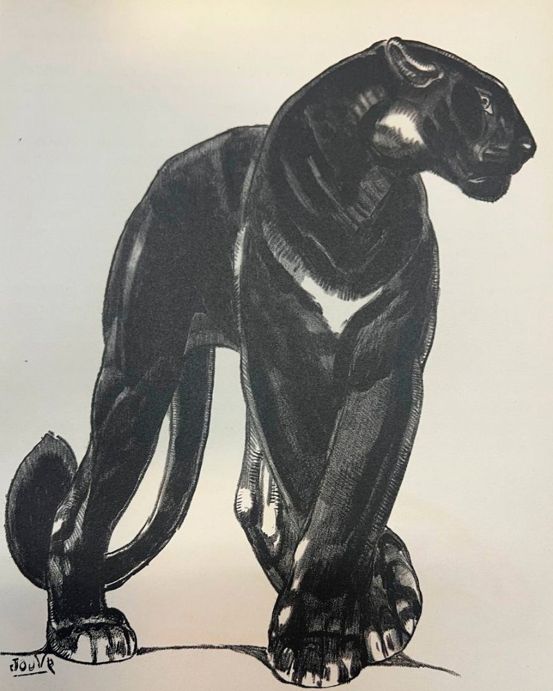 Поль Жув – художник джунглей