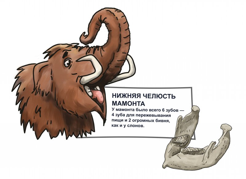 детская этикетка