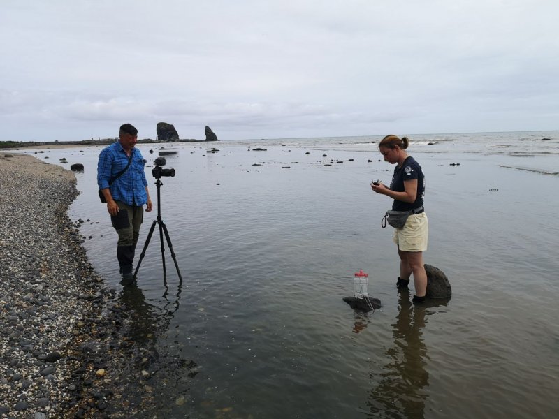 Биостанция Анива. Сахалин