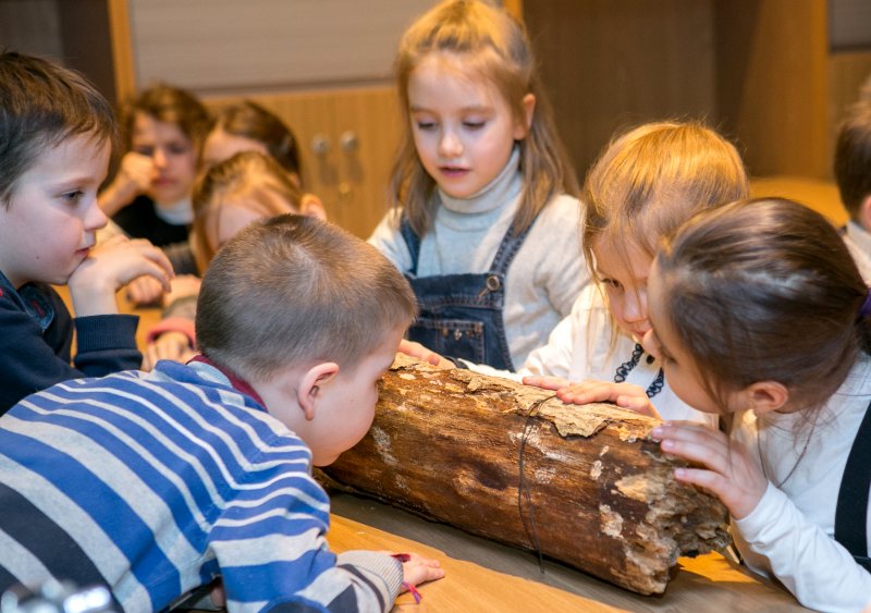 V Общероссийский фестиваль природы «Первозданная Россия»