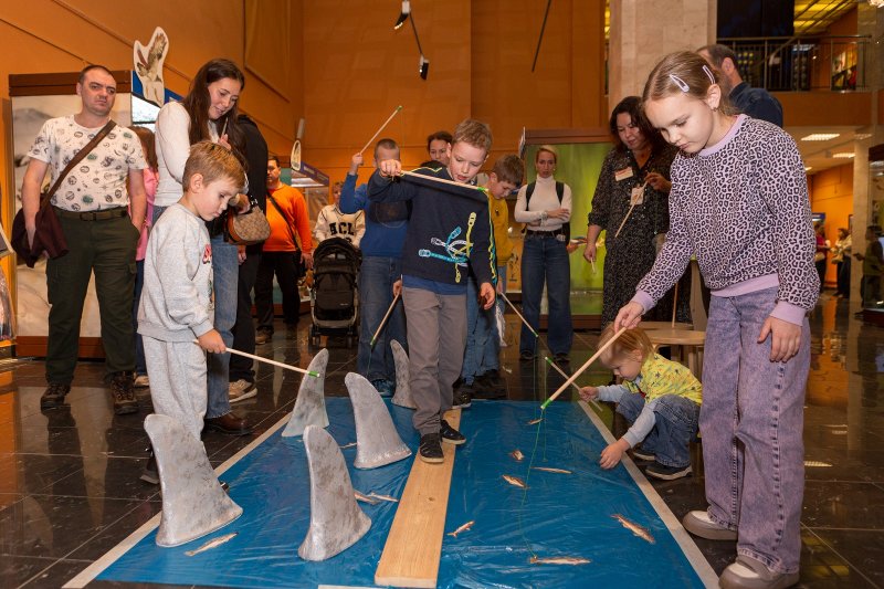 Ночь искусств