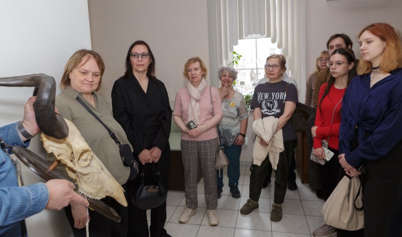 День волонтёра ГДМ