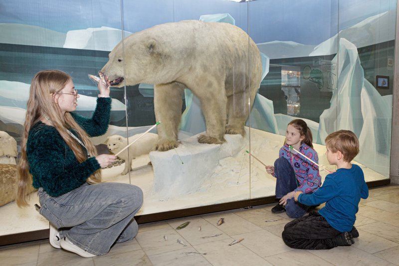 Квест Медвежий праздник